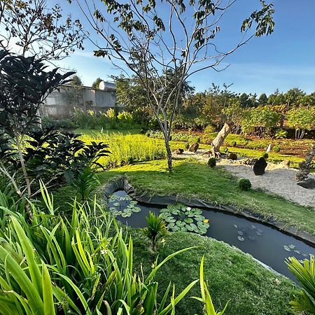 Dugiang Homestay 邦美蜀 外观 照片