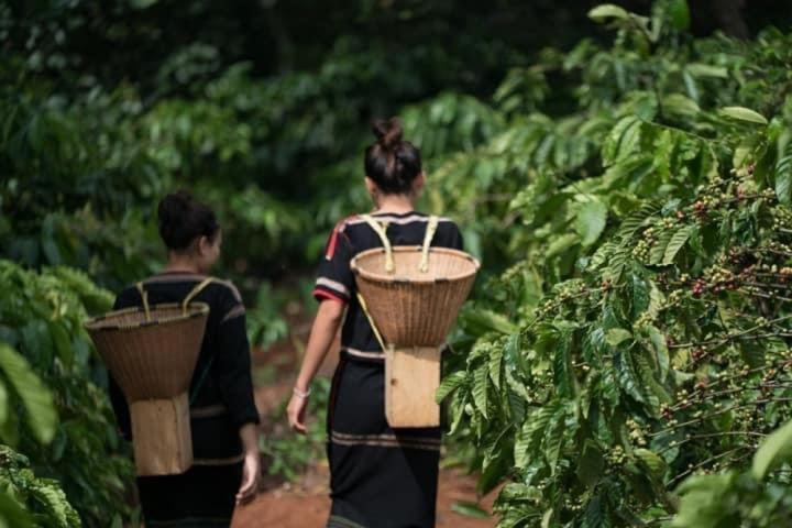 Dugiang Homestay 邦美蜀 外观 照片